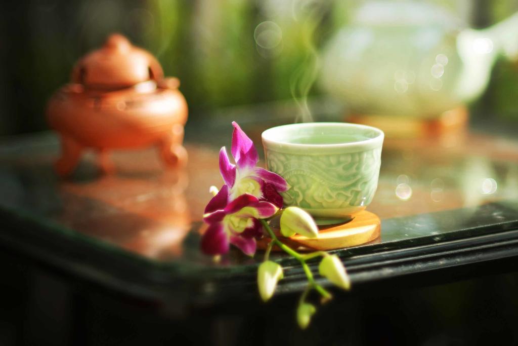 Rice Village Homestay Hoi An Exteriér fotografie